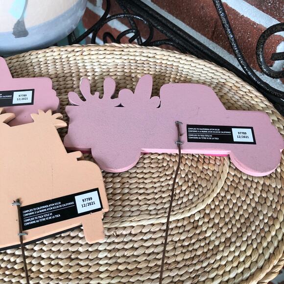 NWT 3 Country Truck Picks with Pineapples and Cacti by Ashland - Picture 7 of 10